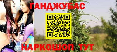 сатива Коммунар