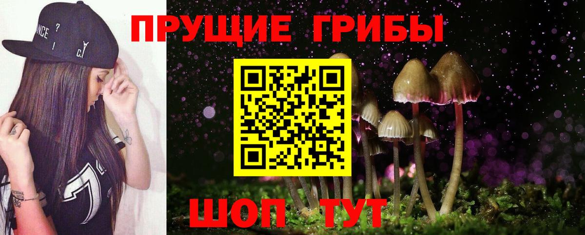 Псилоцибиновые грибы Cubensis  Галлюциногенные грибы прущие грибы  Кудымкар  Вход с VPN 